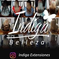 Índiga Extensiones chat bot