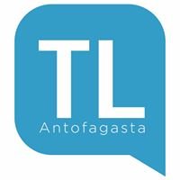 El Timeline Antofagasta chat bot