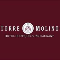 Hotel Torre Molino chat bot