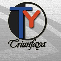 Triunfaya Web Consulting chat bot