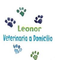 Leonor Garcia  Veterinaria a Domicilio chat bot