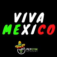 Fly Gym Academy, Querétaro chat bot