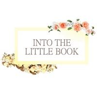 Into the little Book chat bot