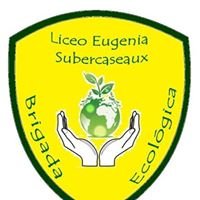 Brigada Ecologica-Eugenia Subercaseaux chat bot