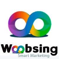 Woobsing Digital Marketing chat bot