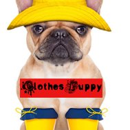 Clothes Puppy chat bot