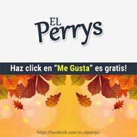 El Perrys chat bot