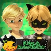 Yo amo a Adrien/ChatNoir chat bot