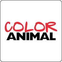 Color Animal chat bot