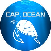Cap Ocean chat bot